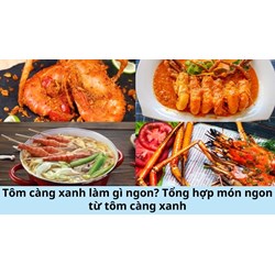 Tôm càng xanh làm gì ngon? Tổng hợp món ngon từ tôm càng xanh