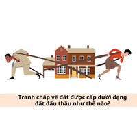 Tranh chấp về đất được cấp dưới dạng đất đấu thầu như thế nào?