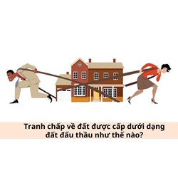 Tranh chấp về đất được cấp dưới dạng đất đấu thầu như thế nào?