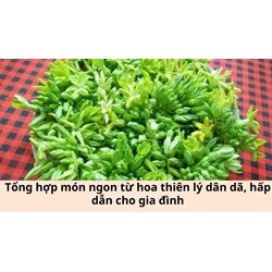 Tổng hợp món ngon từ hoa thiên lý dân dã, hấp dẫn cho gia đình
