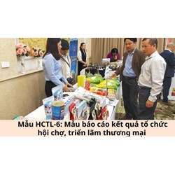 Mẫu HCTL-6: Mẫu báo cáo kết quả tổ chức hội chợ, triển lãm thương mại