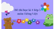 Đề thi học kì 1 lớp 5 môn Tiếng Việt chọn lọc