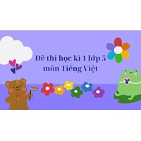 Đề thi học kì 1 lớp 5 môn Tiếng Việt chọn lọc