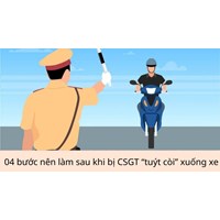 04 bước nên làm sau khi bị CSGT “tuýt còi” xuống xe