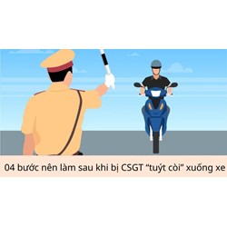 04 bước nên làm sau khi bị CSGT “tuýt còi” xuống xe