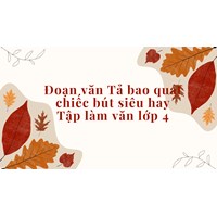 Đoạn văn Tả bao quát chiếc bút siêu hay Tập làm văn lớp 4