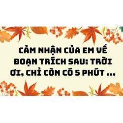Cảm nhận của em về đoạn trích sau: Trời ơi, chỉ còn có 5 phút ...
