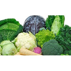 Mách bạn các loại rau ăn lá màu xanh tốt cho não bộ