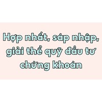 Hợp nhất, sáp nhập, giải thể quỹ đầu tư chứng khoán