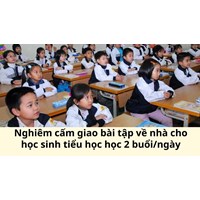 Nghiêm cấm giao bài tập về nhà cho học sinh tiểu học học 2 buổi/ngày