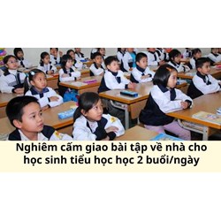 Nghiêm cấm giao bài tập về nhà cho học sinh tiểu học học 2 buổi/ngày