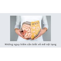Những nguy hiểm cần viết về mỡ nội tạng