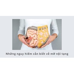 Những nguy hiểm cần viết về mỡ nội tạng