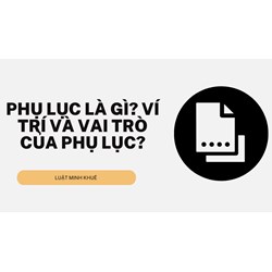 Phụ lục là gì? Ví trí và vai trò của phụ lục?