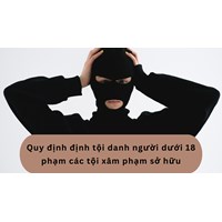 Quy định định tội danh người dưới 18 phạm các tội xâm phạm sở hữu