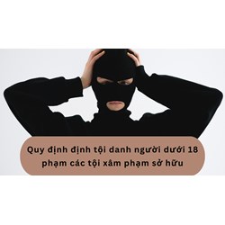 Quy định định tội danh người dưới 18 phạm các tội xâm phạm sở hữu