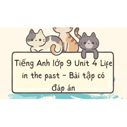 Tiếng Anh lớp 9 Unit 4 Life in the past - Bài tập có đáp án