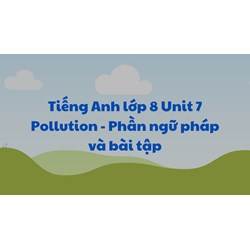 Tiếng Anh lớp 8 Unit 7 Pollution - Phần ngữ pháp và bài tập