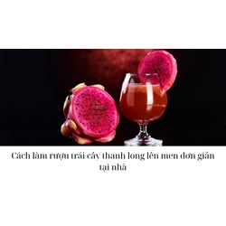 Cách làm rượu trái cây thanh long lên men đơn giản tại nhà