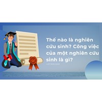 Thế nào là nghiên cứu sinh? Công việc của một nghiên cứu sinh là gì?