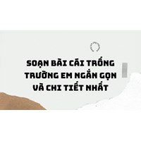 Soạn bài Cái trống trường em ngắn gọn và chi tiết nhất