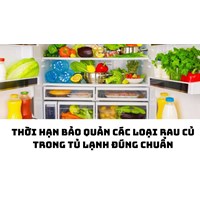 Thời hạn bảo quản các loại rau củ trong tủ lạnh đúng chuẩn