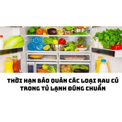 Thời hạn bảo quản các loại rau củ trong tủ lạnh đúng chuẩn