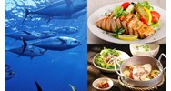 Hướng dẫn cách chọn mua cá ngừ đại dương, giá bán và các món ngon từ cá ngừ