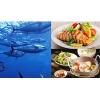 Hướng dẫn cách chọn mua cá ngừ đại dương, giá bán và các món ngon từ cá ngừ