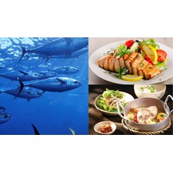 Hướng dẫn cách chọn mua cá ngừ đại dương, giá bán và các món ngon từ cá ngừ