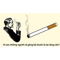 Vì sao những người cố gắng bỏ thuốc lá lại tăng cân?