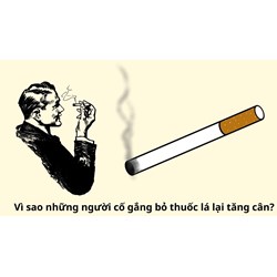 Vì sao những người cố gắng bỏ thuốc lá lại tăng cân?