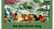 Mã đáo thành công là gì?