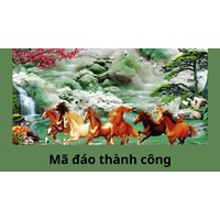 Mã đáo thành công là gì?
