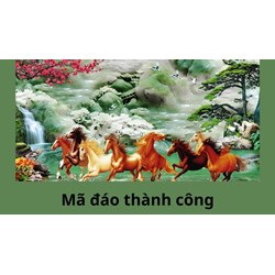 Mã đáo thành công là gì?