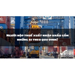 Người nộp thuế xuất nhập khẩu gồm những ai theo quy đinh?