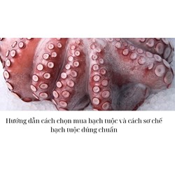 Hướng dẫn cách chọn mua bạch tuộc và cách sơ chế bạch tuộc đúng chuẩn