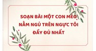 Soạn bài Một con mèo nằm ngủ trên ngực tôi đầy đủ nhất