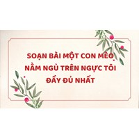 Soạn bài Một con mèo nằm ngủ trên ngực tôi đầy đủ nhất