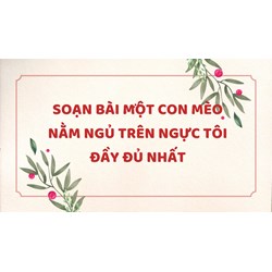 Soạn bài Một con mèo nằm ngủ trên ngực tôi đầy đủ nhất