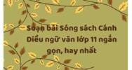 Soạn bài Sóng sách Cánh Diều ngữ văn lớp 11 ngắn gọn, hay nhất