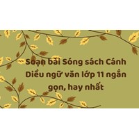 Soạn bài Sóng sách Cánh Diều ngữ văn lớp 11 ngắn gọn, hay nhất