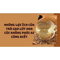 Những lợi ích của trà gạo lứt hoa cúc không phải ai cũng biết