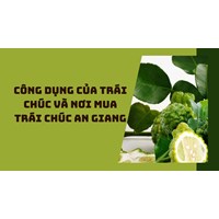 Công dụng của trái chúc và nơi mua trái chúc An Giang