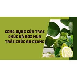 Công dụng của trái chúc và nơi mua trái chúc An Giang