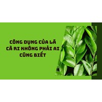 Công dụng của lá cà ri không phải ai cũng biết