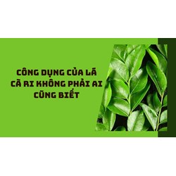 Công dụng của lá cà ri không phải ai cũng biết