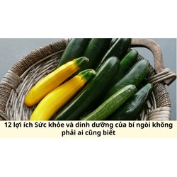 12 lợi ích Sức khỏe và dinh dưỡng của bí ngòi không phải ai cũng biết