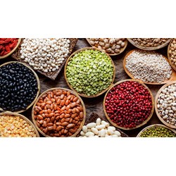 Mẹo bảo quản các loại đậu, đỗ để được lâu, chống mối mọt hiệu quả