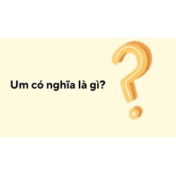 Um có nghĩa là gì?